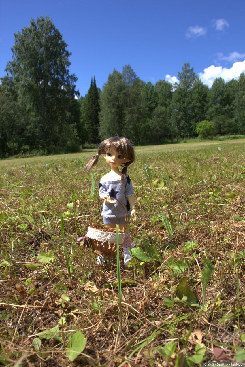 Орешка и лето — Куклы Kaye Wiggs (Кайе Виггс): авторские BJD (БЖД) (фото 7)