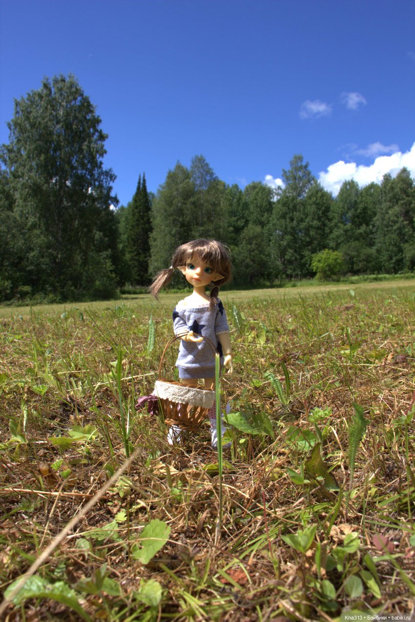 Орешка и лето — Куклы Kaye Wiggs (Кайе Виггс): авторские BJD (БЖД) (фото 6)