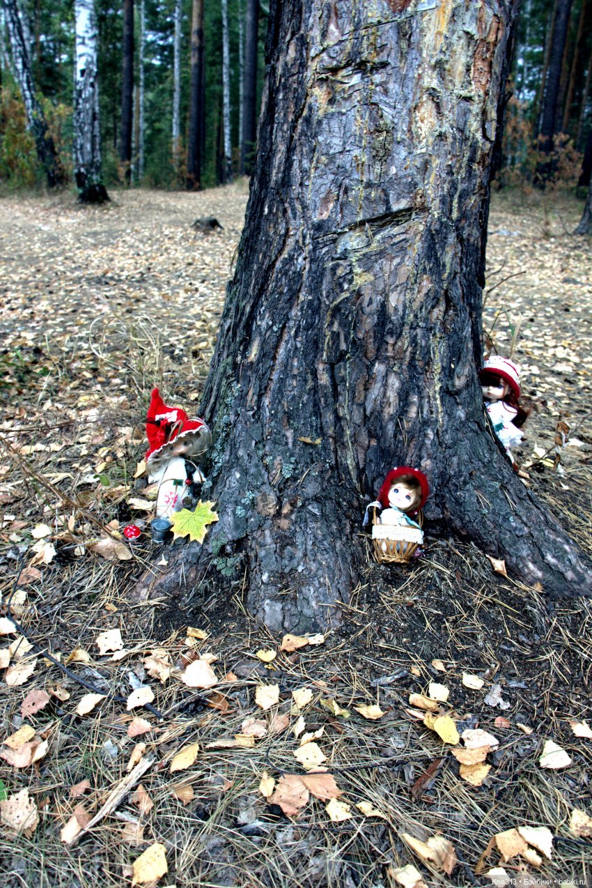 Поганки или миииилые Мухоморчики? Мы искали их в лесу