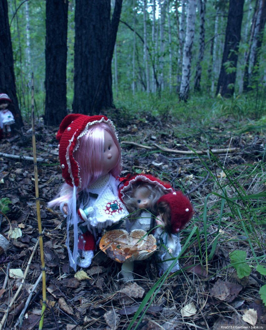 Поганки или миииилые Мухоморчики? Мы искали их в лесу