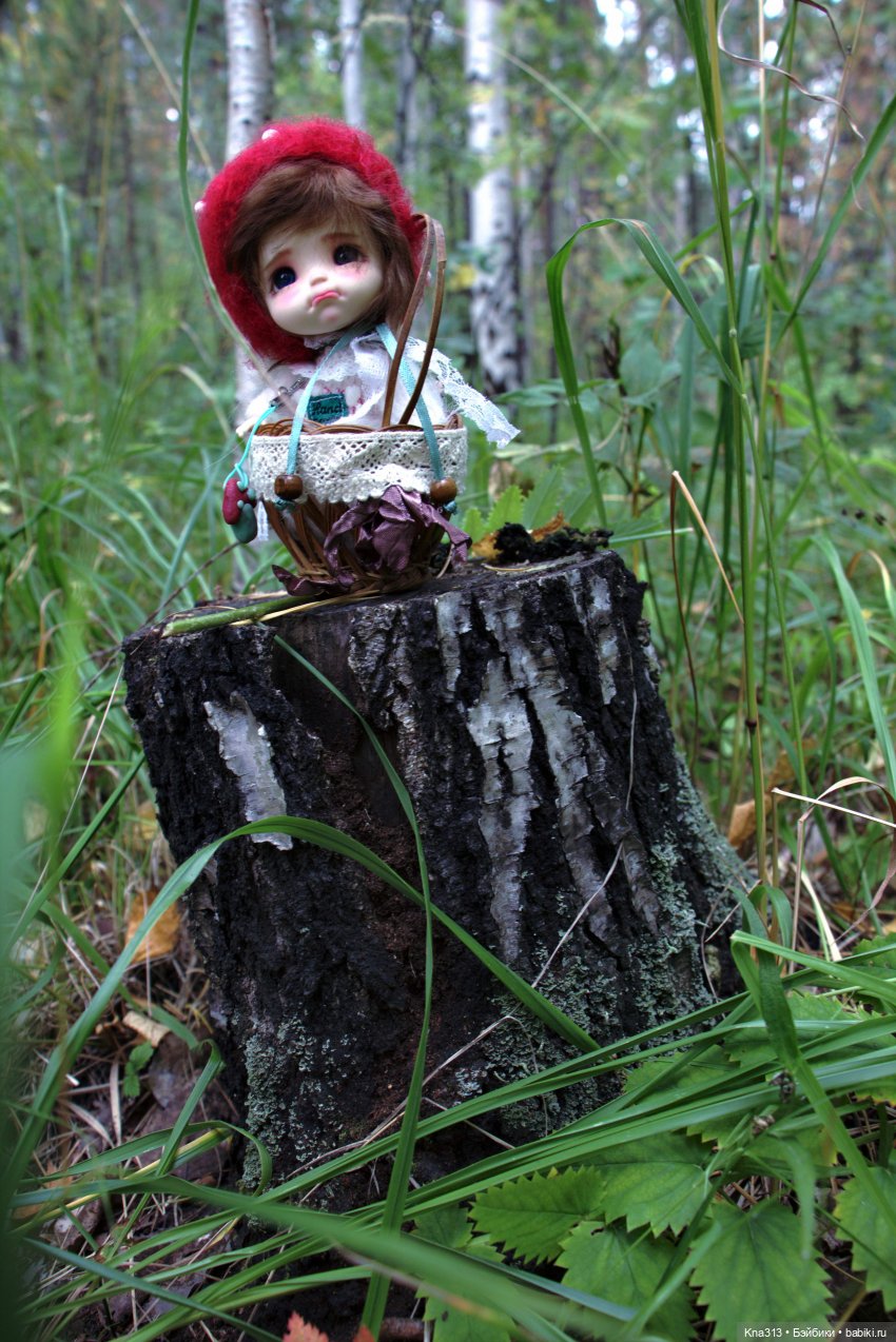 Поганки или миииилые Мухоморчики? Мы искали их в лесу