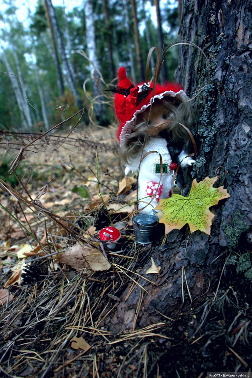 Поганки или миииилые Мухоморчики? Мы искали их в лесу