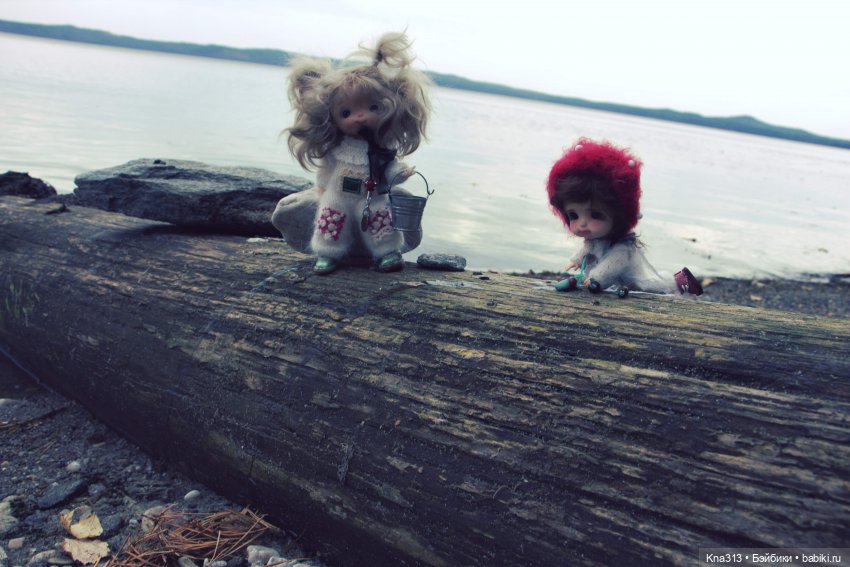 Поганки или миииилые Мухоморчики? Мы искали их в лесу