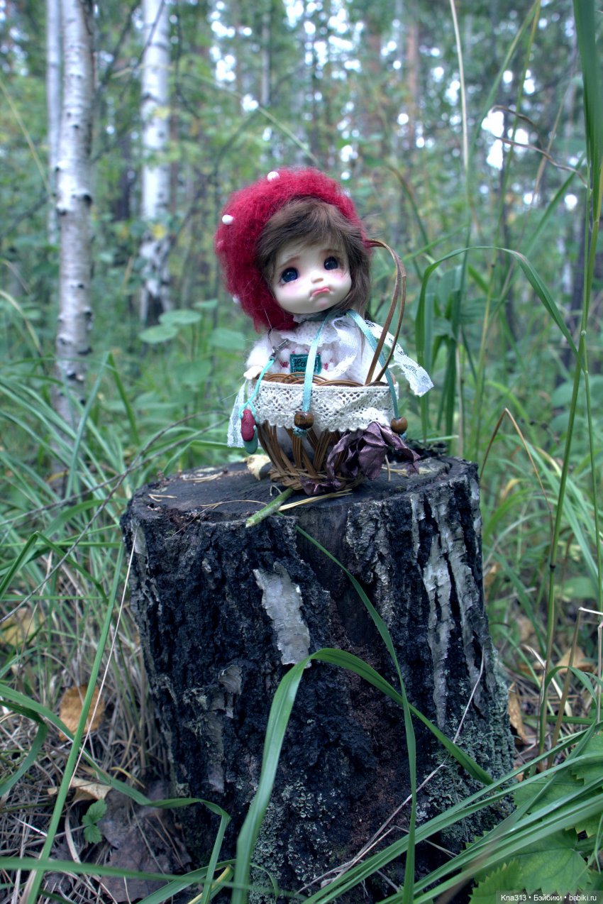 Поганки или миииилые Мухоморчики? Мы искали их в лесу