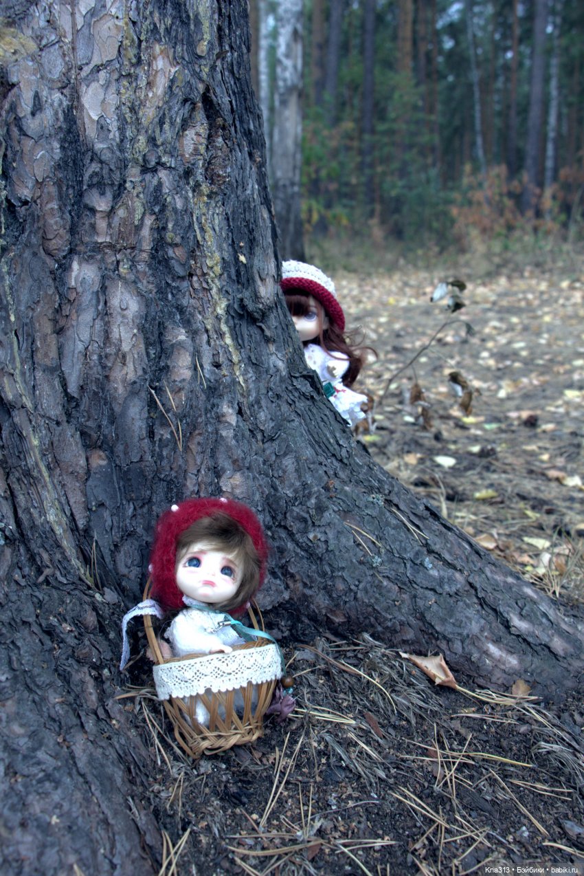 Поганки или миииилые Мухоморчики? Мы искали их в лесу