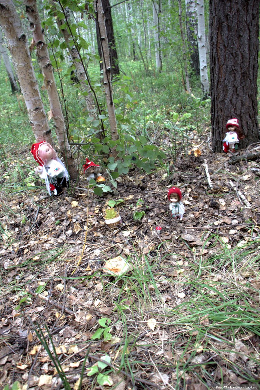 Поганки или миииилые Мухоморчики? Мы искали их в лесу (фото 5)