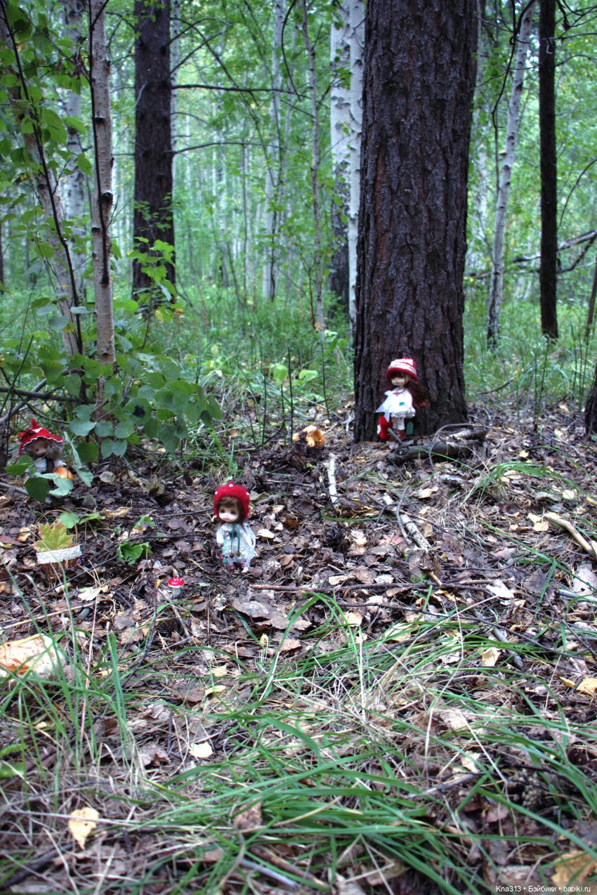 Поганки или миииилые Мухоморчики? Мы искали их в лесу (фото 4)