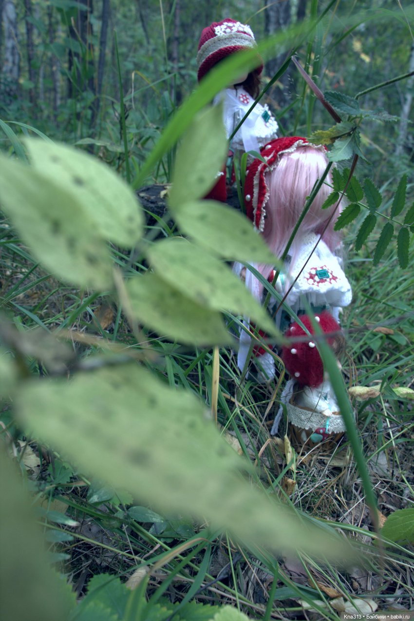 Поганки или миииилые Мухоморчики? Мы искали их в лесу
