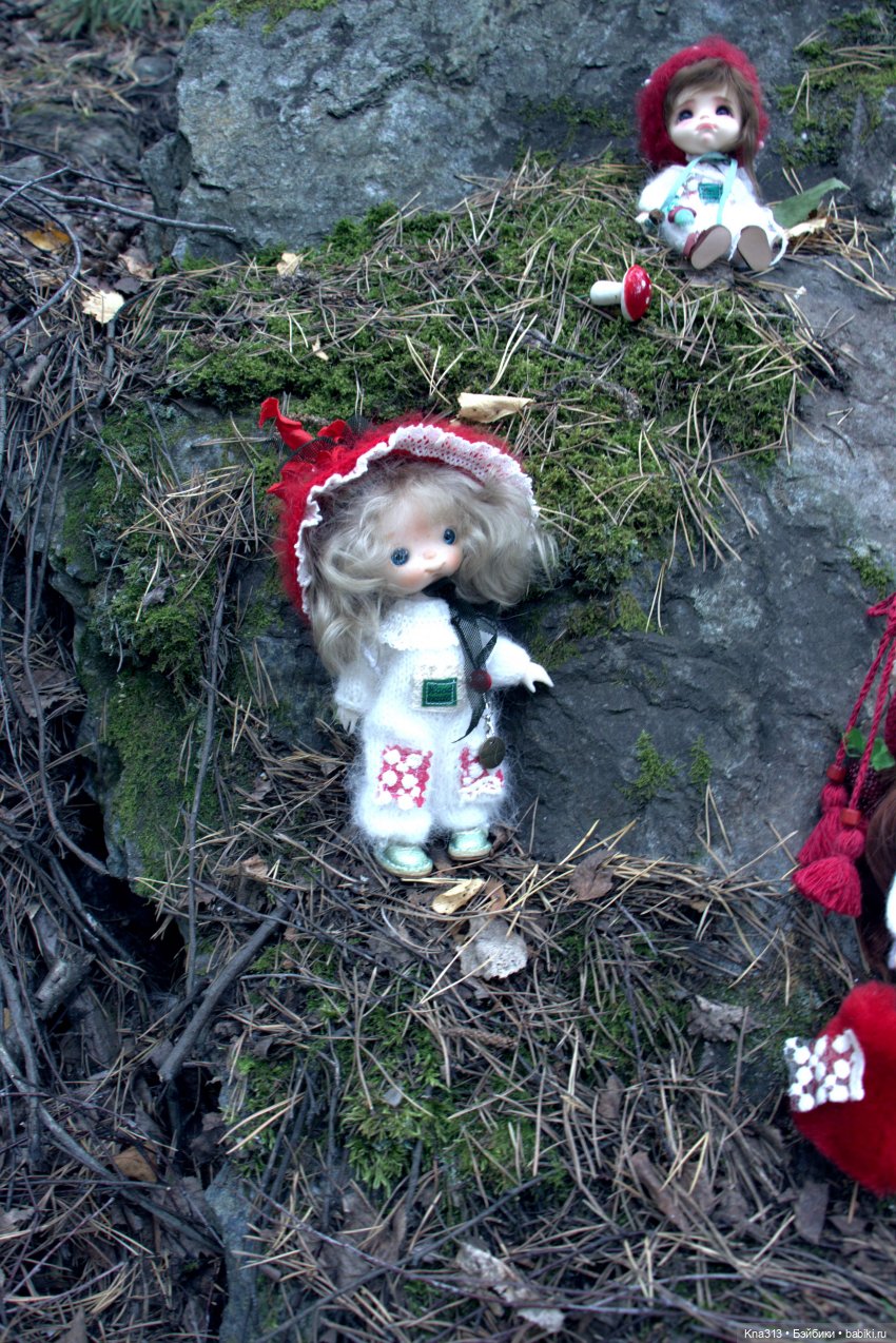 Поганки или миииилые Мухоморчики? Мы искали их в лесу