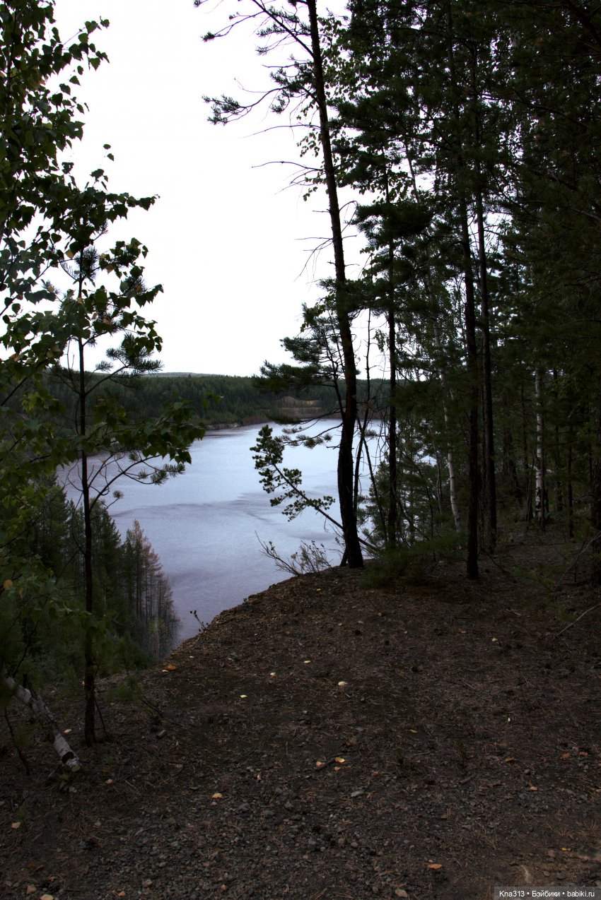 Поганки или миииилые Мухоморчики? Мы искали их в лесу