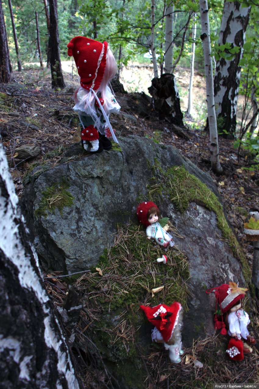 Поганки или миииилые Мухоморчики? Мы искали их в лесу