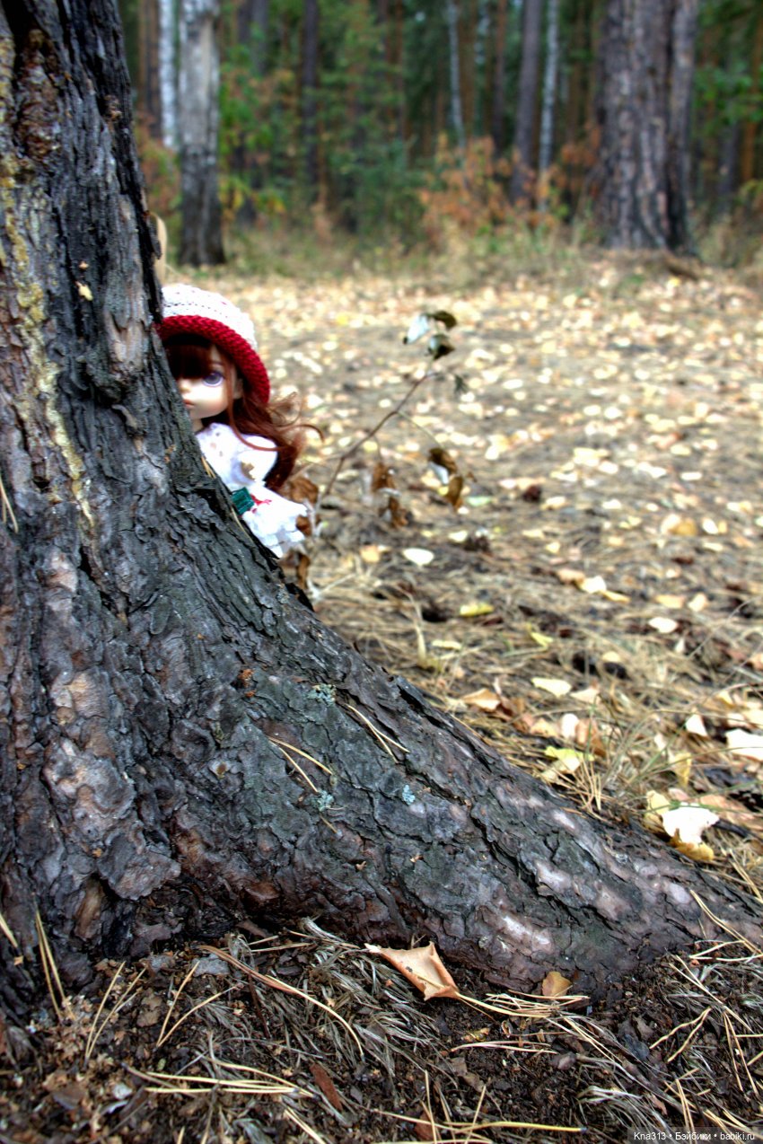 Поганки или миииилые Мухоморчики? Мы искали их в лесу