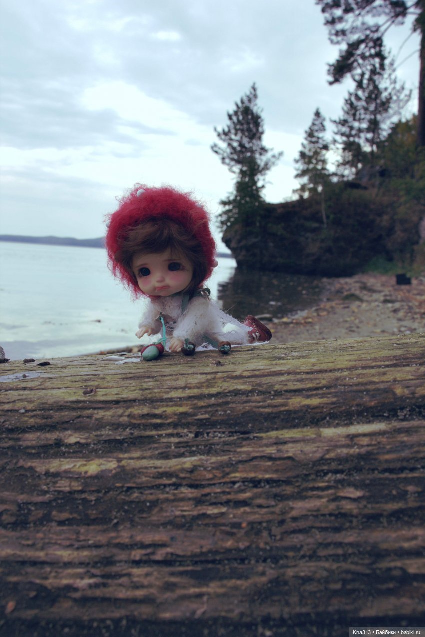 Поганки или миииилые Мухоморчики? Мы искали их в лесу