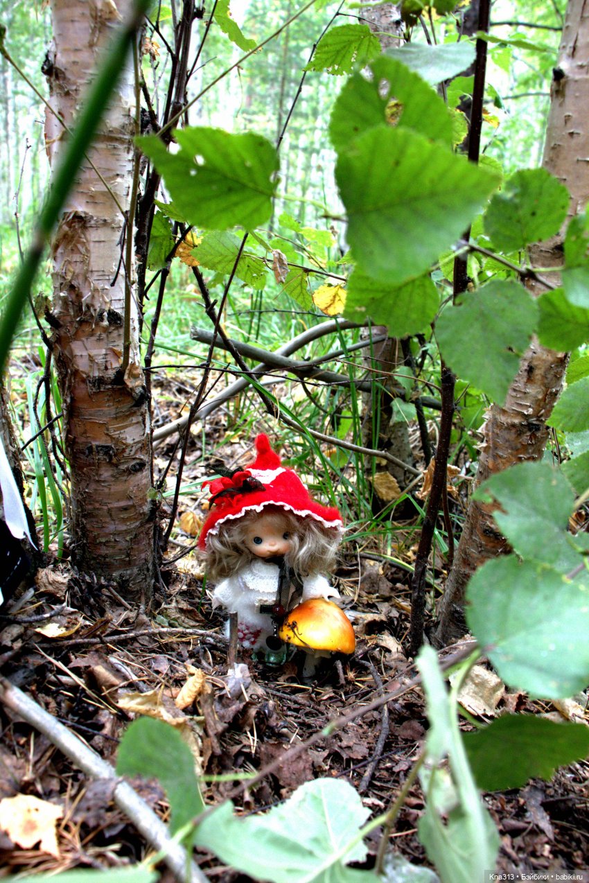 Поганки или миииилые Мухоморчики? Мы искали их в лесу