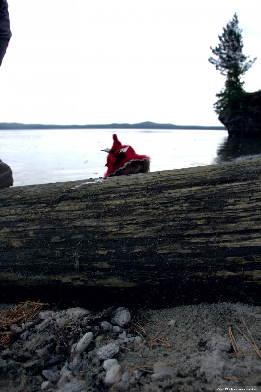 Поганки или миииилые Мухоморчики? Мы искали их в лесу