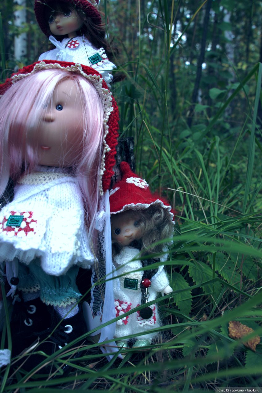 Поганки или миииилые Мухоморчики? Мы искали их в лесу