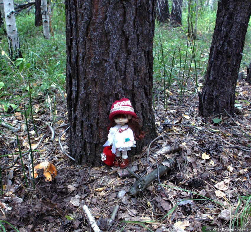 Поганки или миииилые Мухоморчики? Мы искали их в лесу