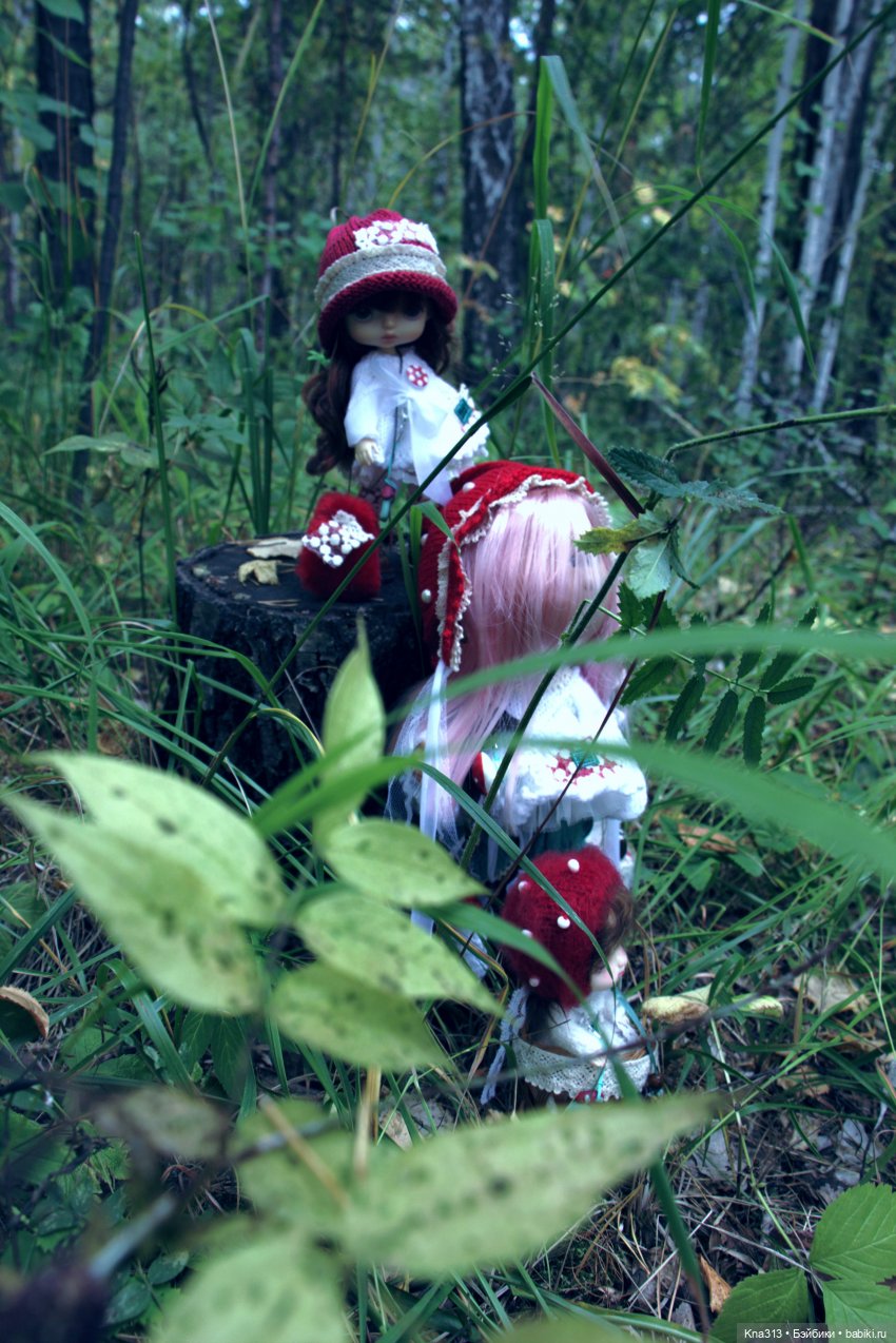 Поганки или миииилые Мухоморчики? Мы искали их в лесу