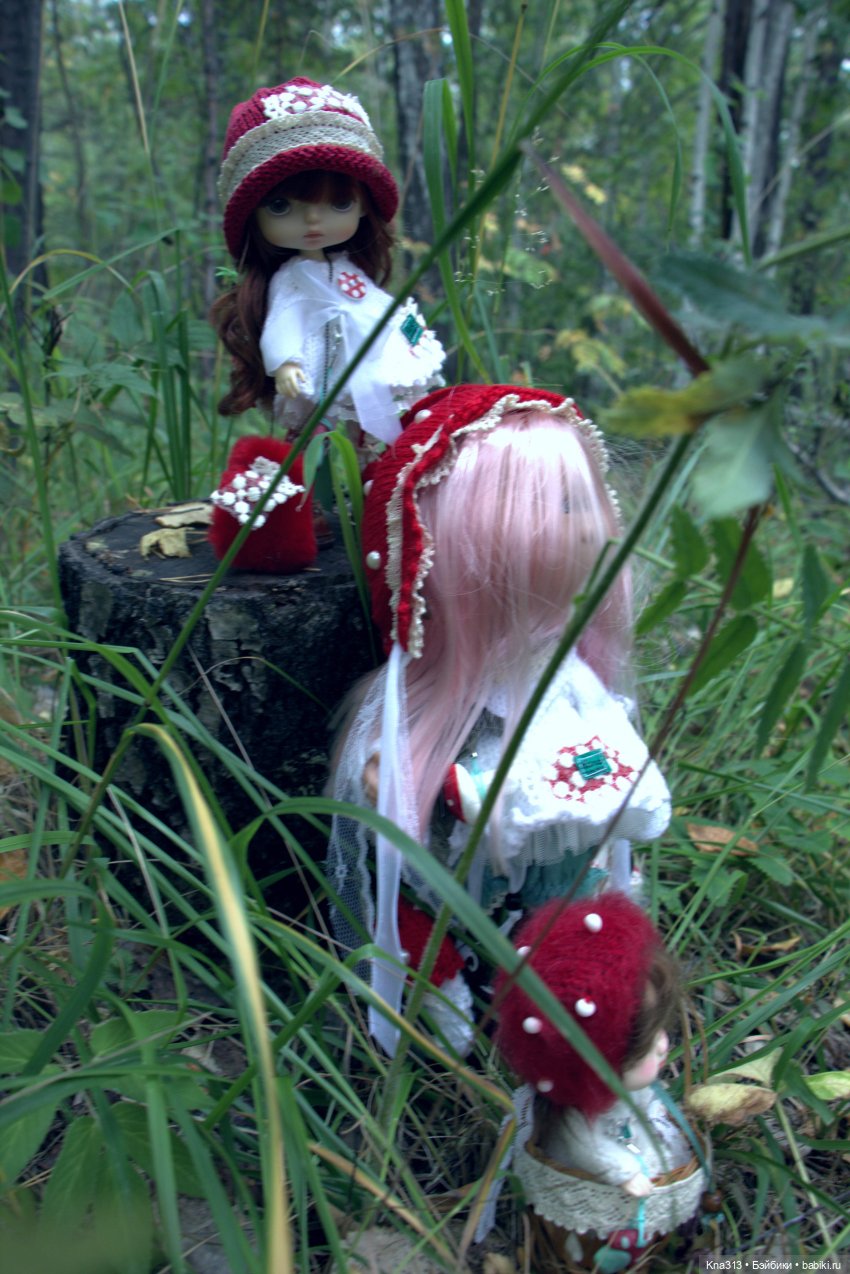 Поганки или миииилые Мухоморчики? Мы искали их в лесу