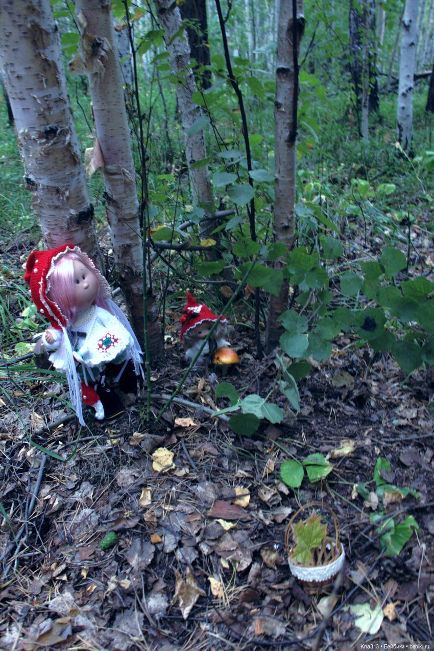 Поганки или миииилые Мухоморчики? Мы искали их в лесу (фото 9)