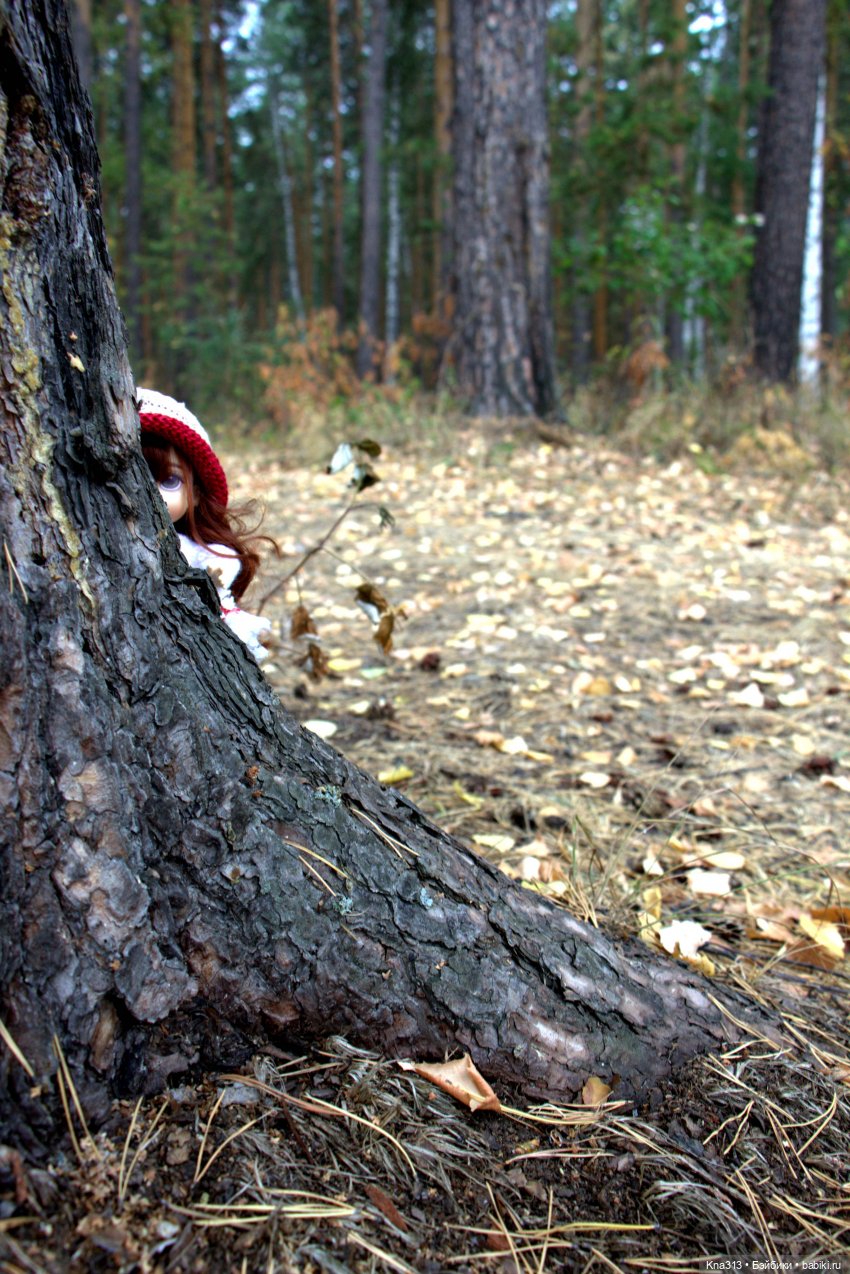Поганки или миииилые Мухоморчики? Мы искали их в лесу