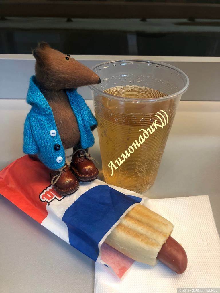 Лисы. В гости к #Братьямпоогню