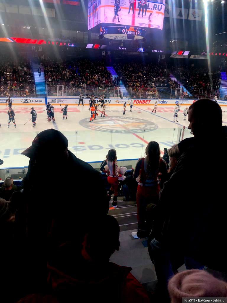 Лисы. В гости к #Братьямпоогню