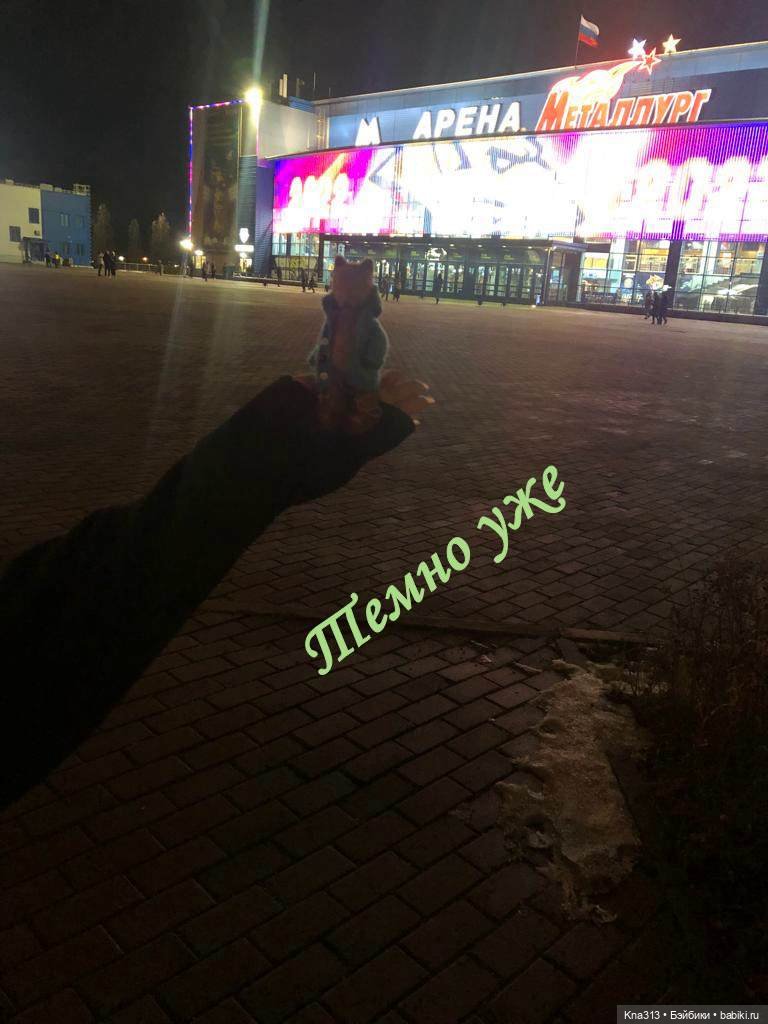 Лисы. В гости к #Братьямпоогню (фото 6)