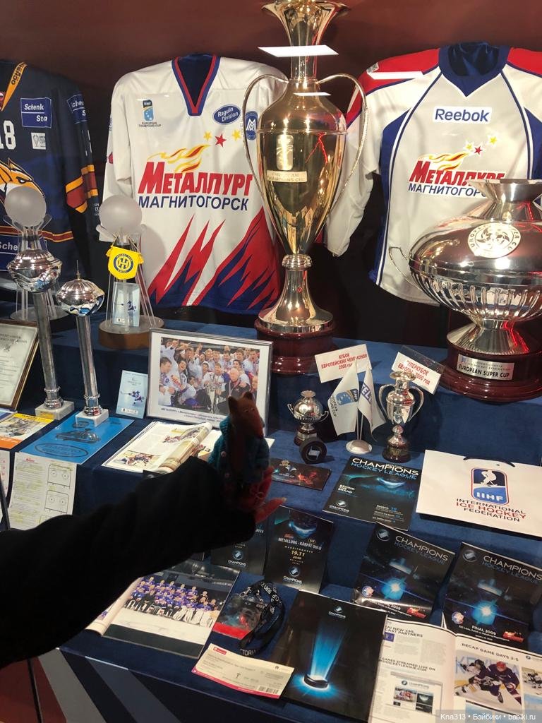 Лисы. В гости к #Братьямпоогню