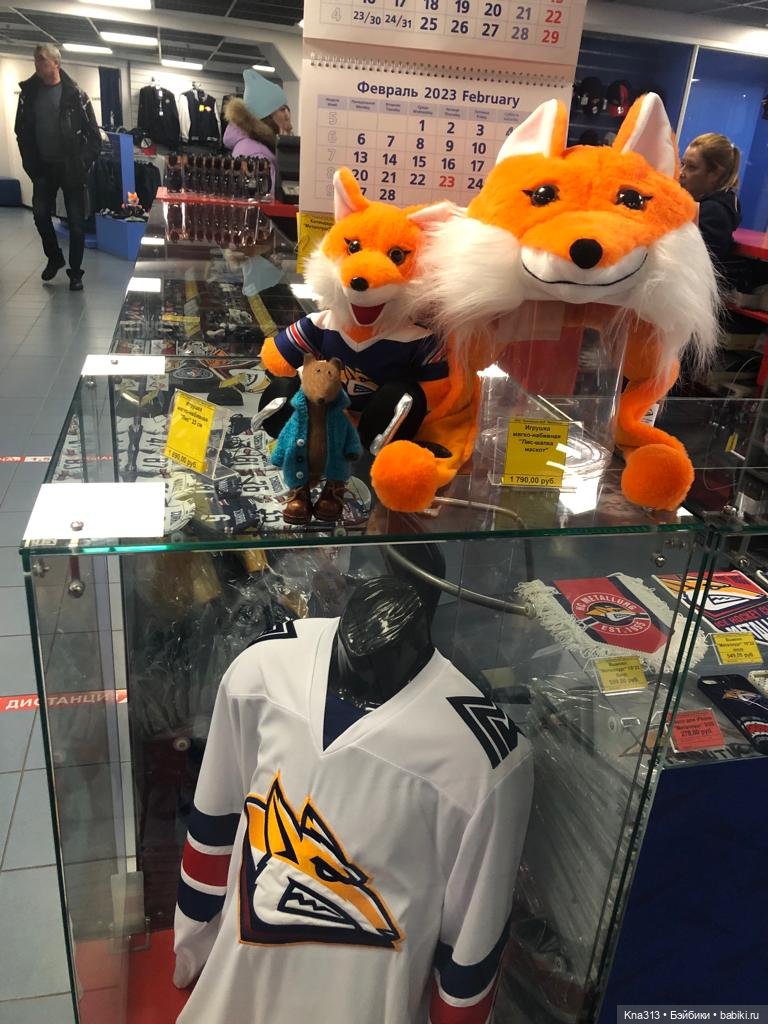 Лисы. В гости к #Братьямпоогню (фото 10)