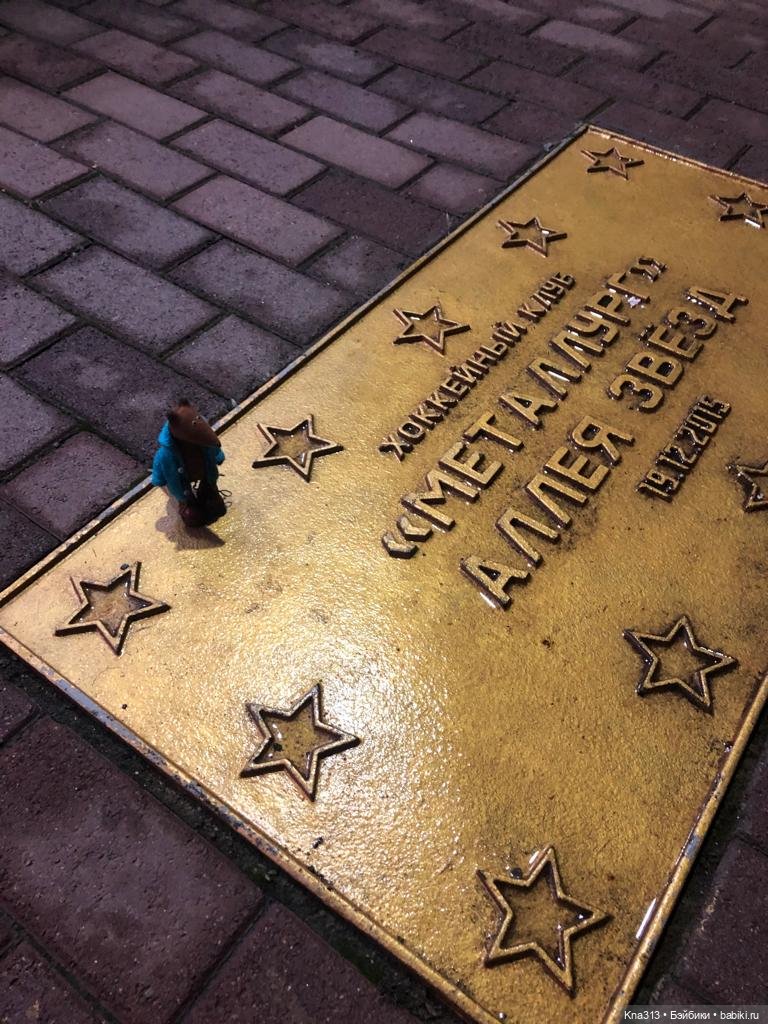 Лисы. В гости к #Братьямпоогню (фото 7)