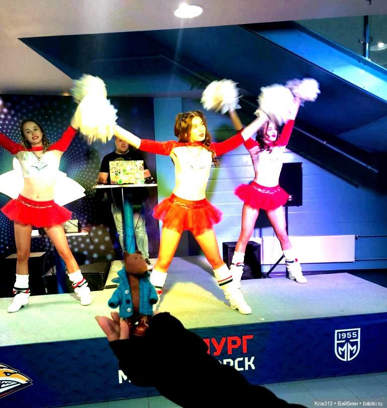 Лисы. В гости к #Братьямпоогню