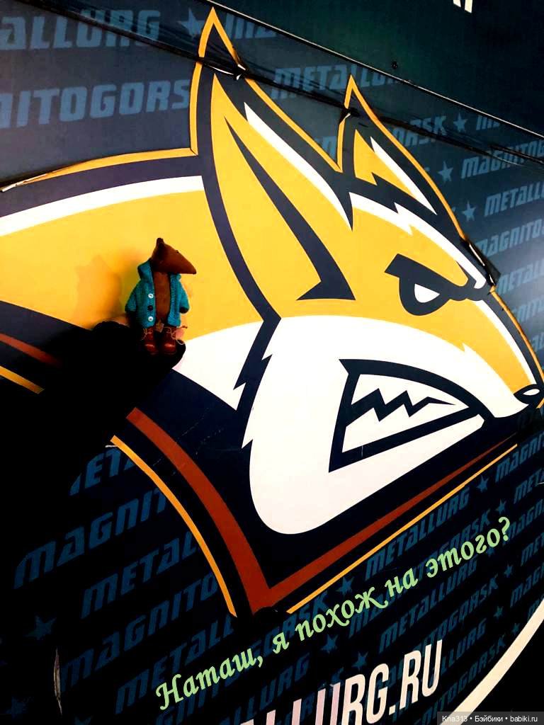 Лисы. В гости к #Братьямпоогню