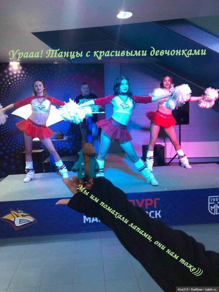 Лисы. В гости к #Братьямпоогню