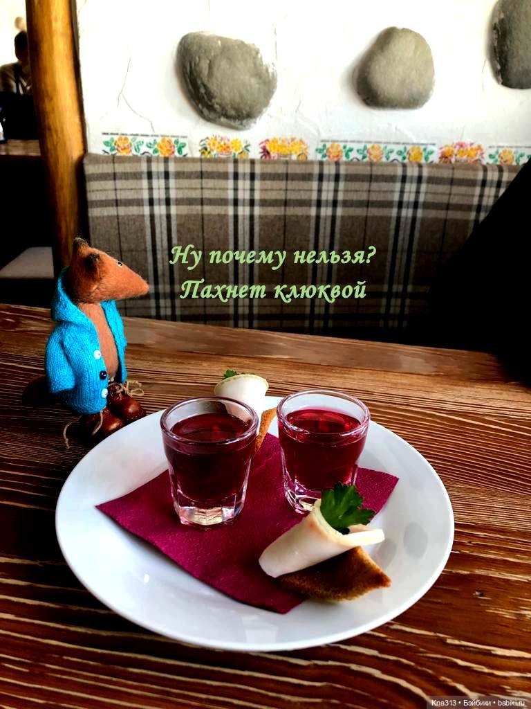 Лисы. В гости к #Братьямпоогню (фото 4)