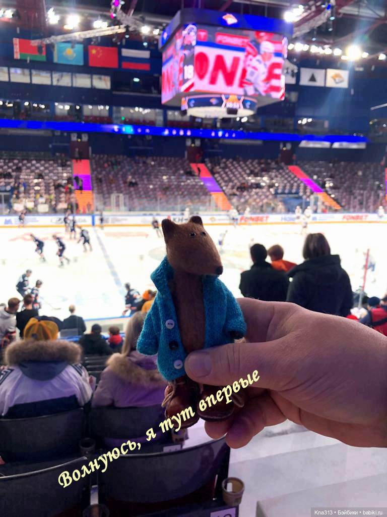 Лисы. В гости к #Братьямпоогню