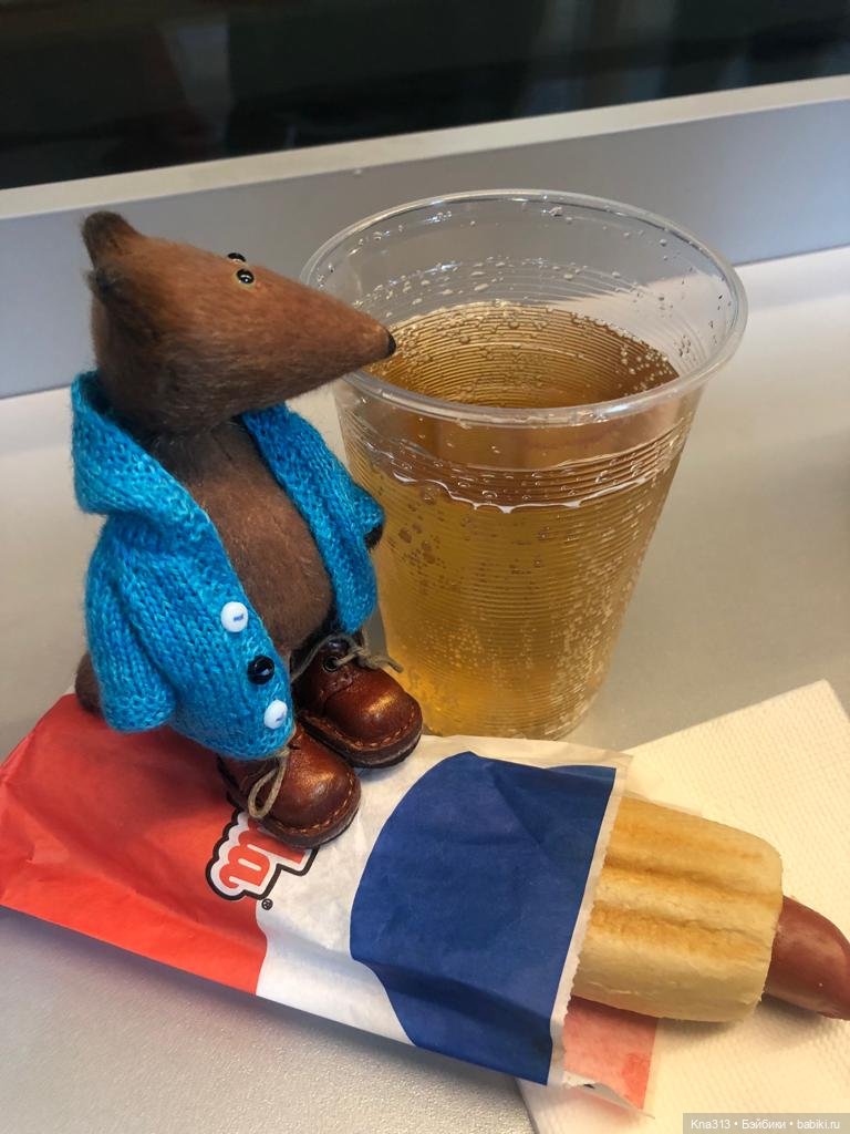 Лисы. В гости к #Братьямпоогню