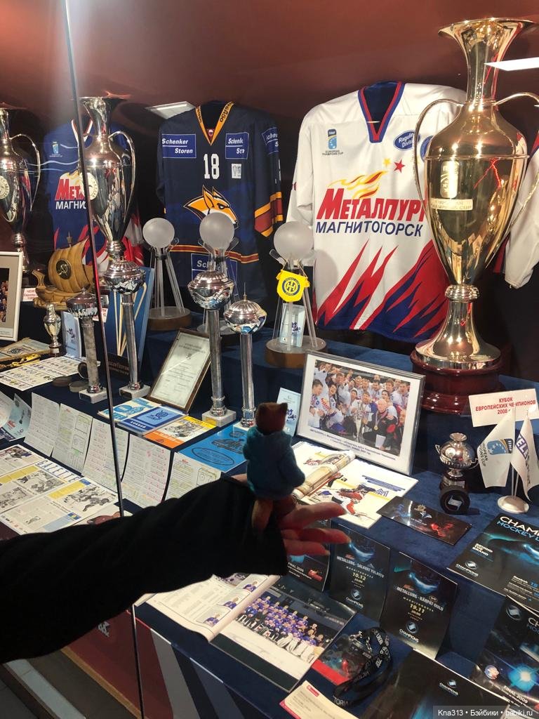 Лисы. В гости к #Братьямпоогню