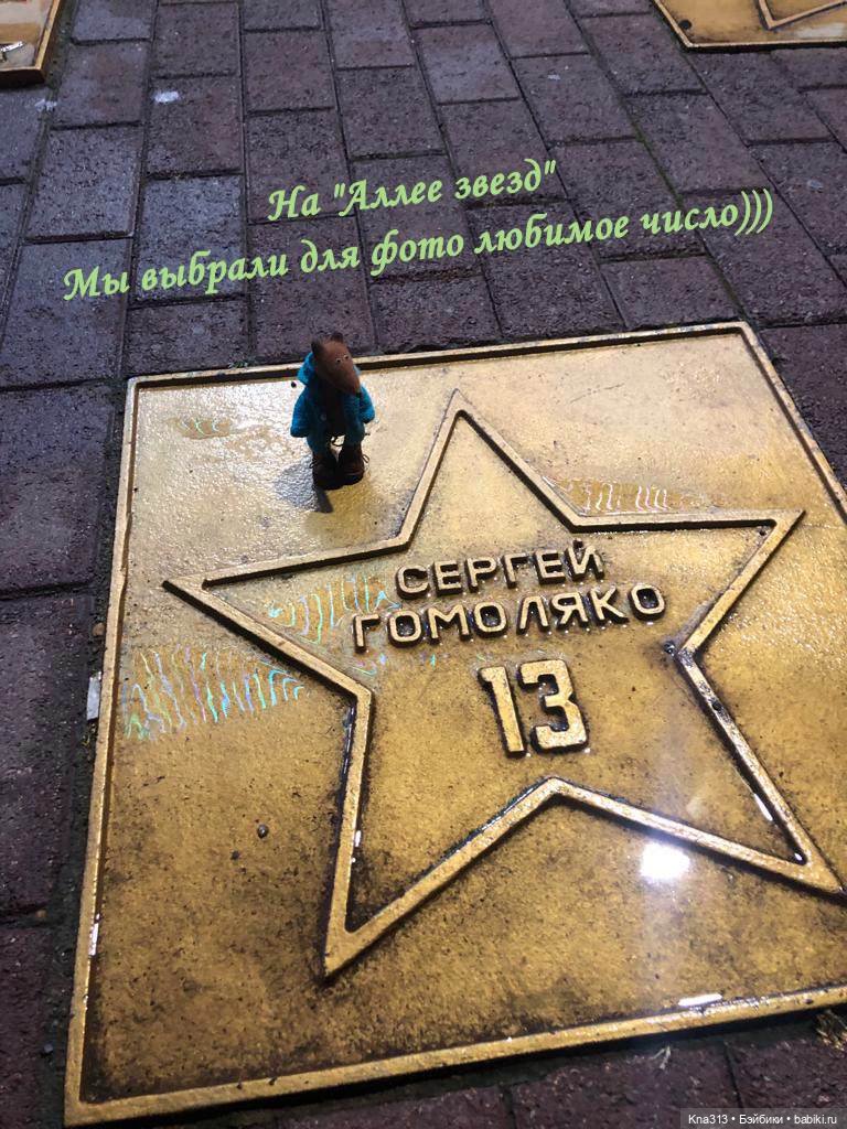 Лисы. В гости к #Братьямпоогню (фото 8)