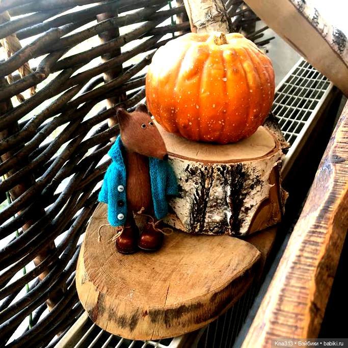 Лисы. В гости к #Братьямпоогню