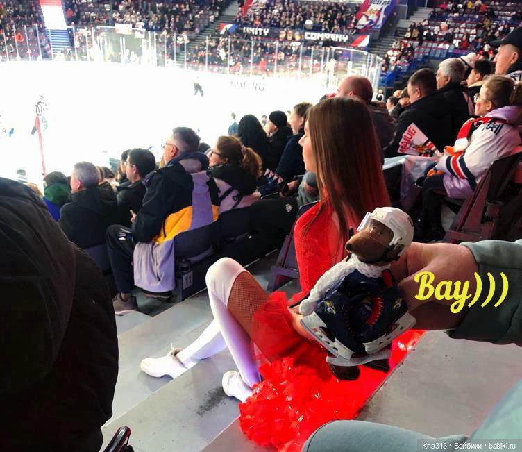 Тимоша и хоккей — Туризм и путешествия: фотоотчеты из поездок