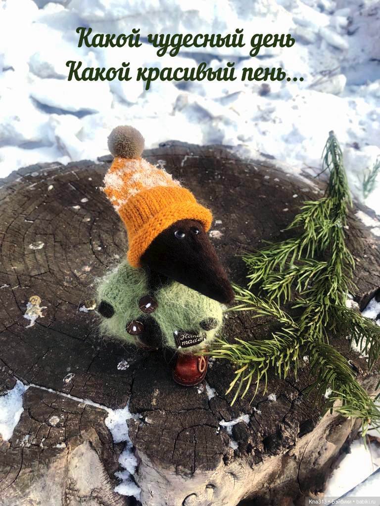 Тимоша и хоккей — Туризм и путешествия: фотоотчеты из поездок (фото 4)