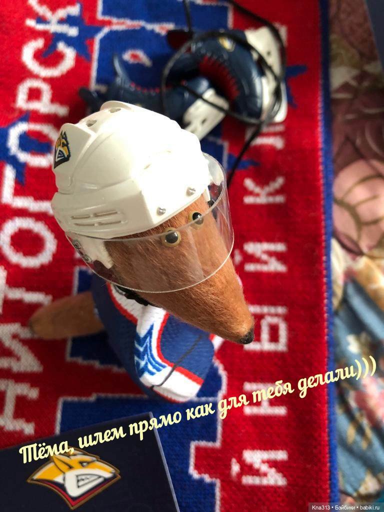 Тимоша и хоккей — Туризм и путешествия: фотоотчеты из поездок