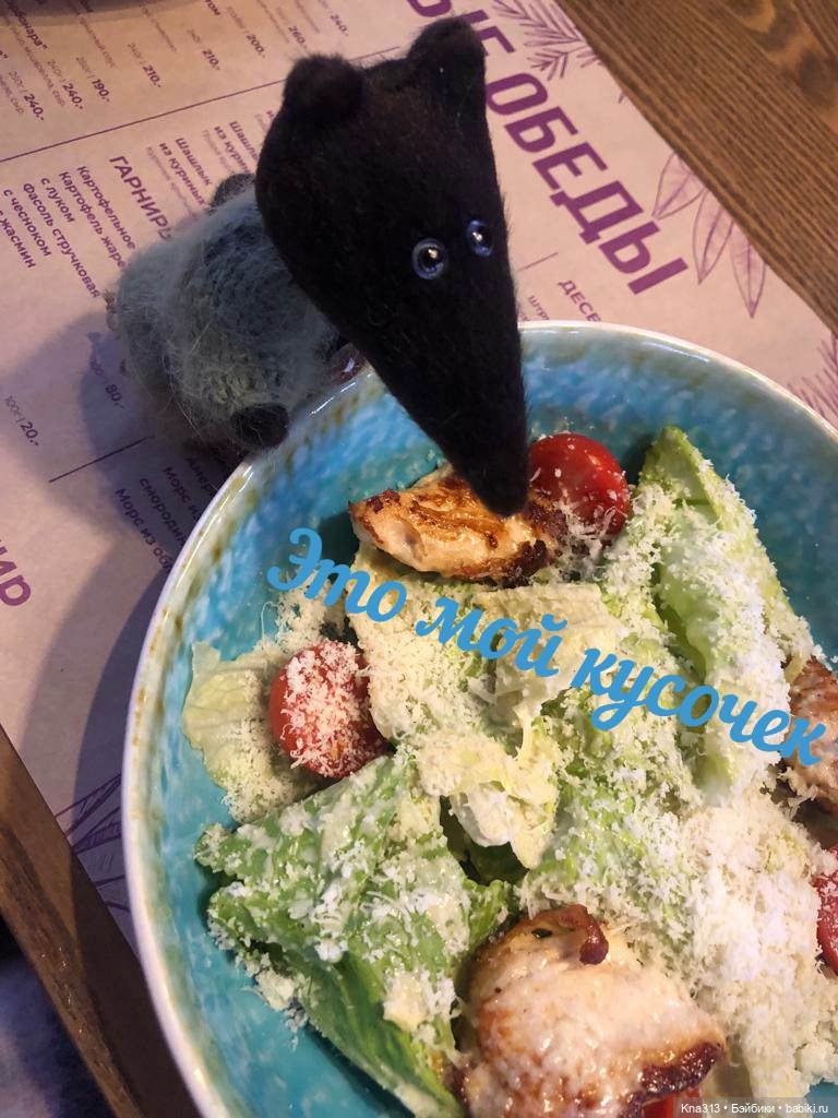 Тимоша и хоккей — Туризм и путешествия: фотоотчеты из поездок