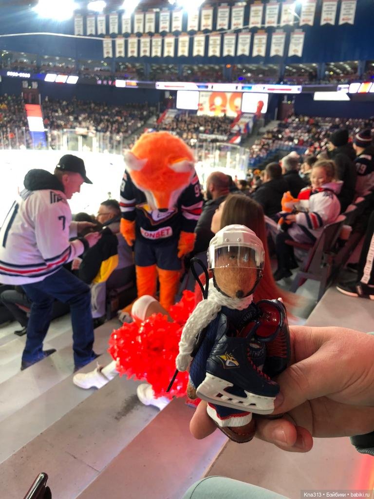 Тимоша и хоккей — Туризм и путешествия: фотоотчеты из поездок