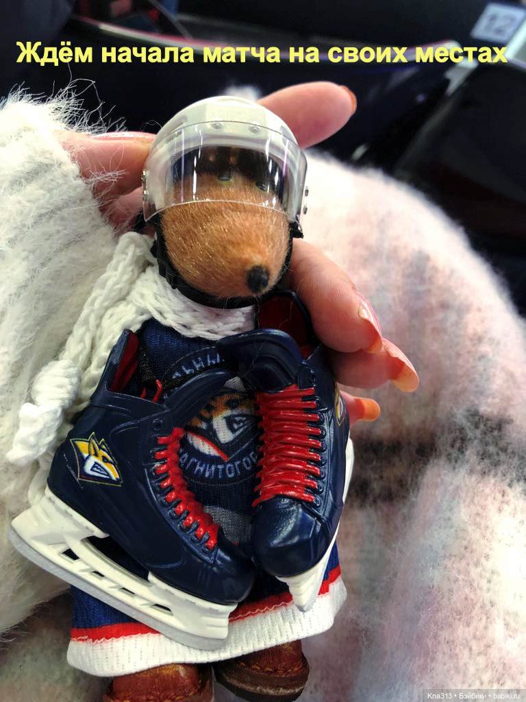 Тимоша и хоккей — Туризм и путешествия: фотоотчеты из поездок