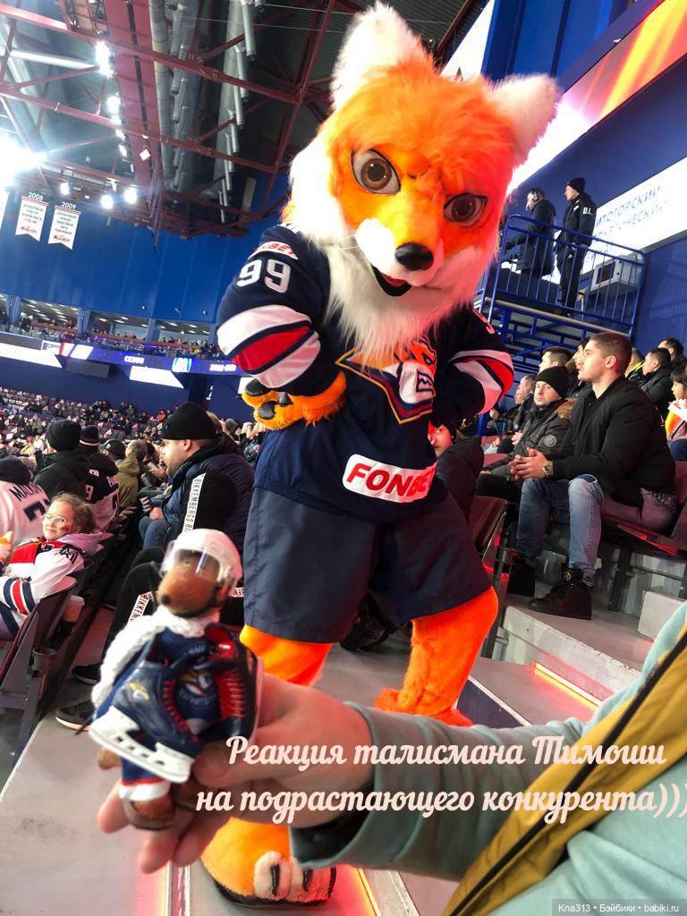 Тимоша и хоккей — Туризм и путешествия: фотоотчеты из поездок