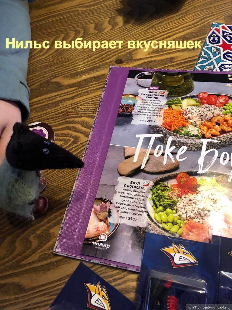 Тимоша и хоккей — Туризм и путешествия: фотоотчеты из поездок (фото 10)