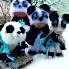 Банда "Панда"