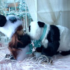 "Панды" продолжение